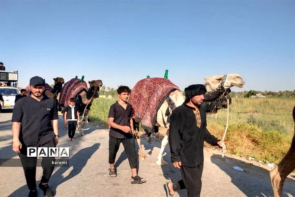 پیاده‌روی از مسیر العلما تا کربلای معلی