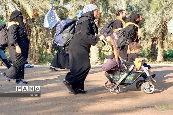 پیاده‌روی از مسیر العلما تا کربلای معلی