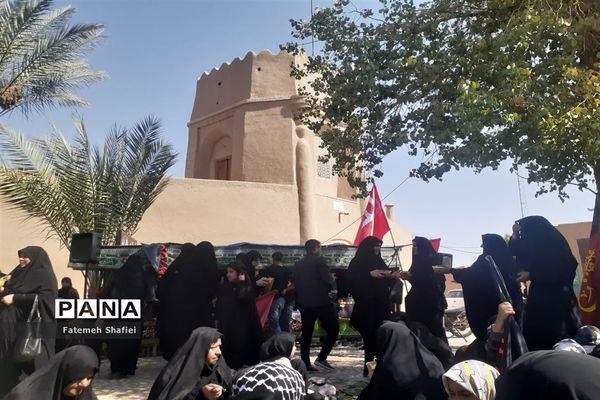 پیاده‌روی نمادین اربعین حسینی در روستای باقر آباد بافق