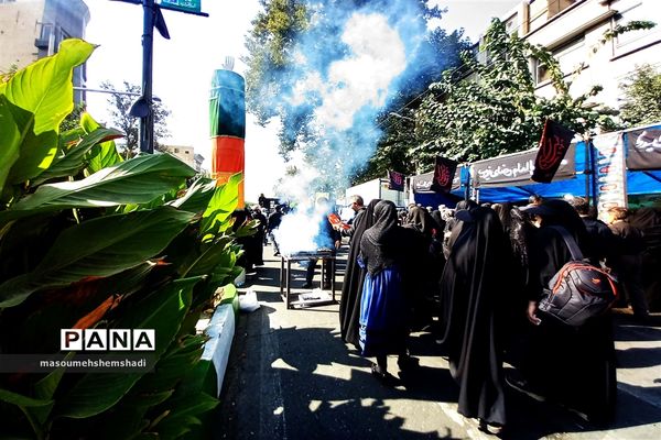 قدم قدم تا دلدادگی به آستان مطهر و نورانی  جاماندگان اربعین حسینی