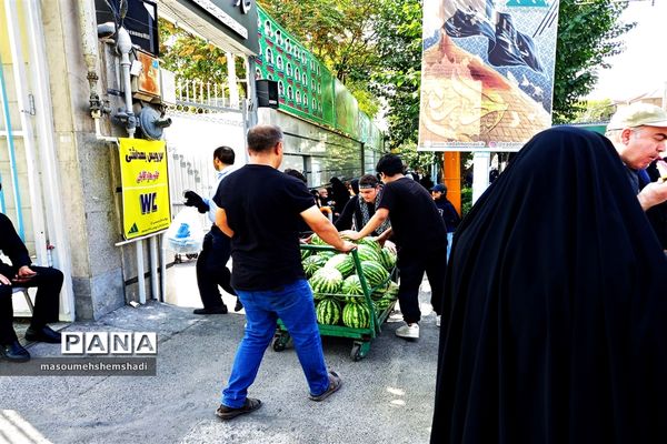قدم قدم تا دلدادگی به آستان مطهر و نورانی  جاماندگان اربعین حسینی
