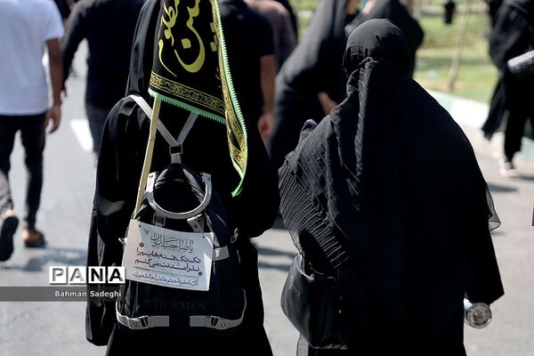 پیاده‌روی جاماندگان اربعین حسینی در تهران
