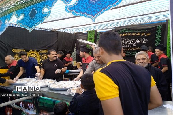 مراسم پیاده‌روی حرم تا حرم در کاشمر