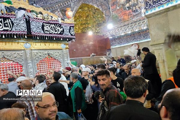 خیل عظیم دلدادگان در مرقد امام حسن عسکری ( ع)