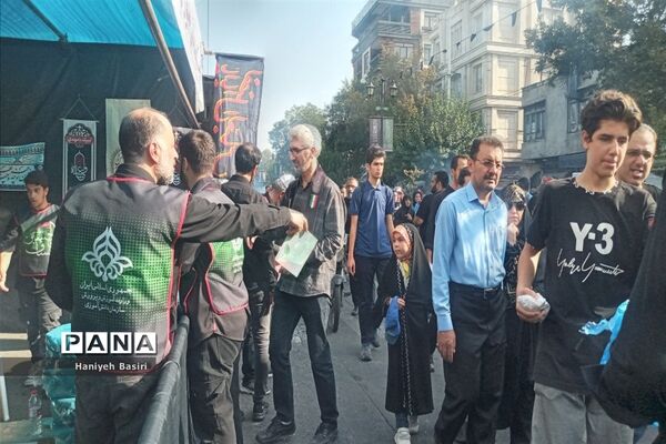 پیاده‌روی جاماندگان اربعین حسینی