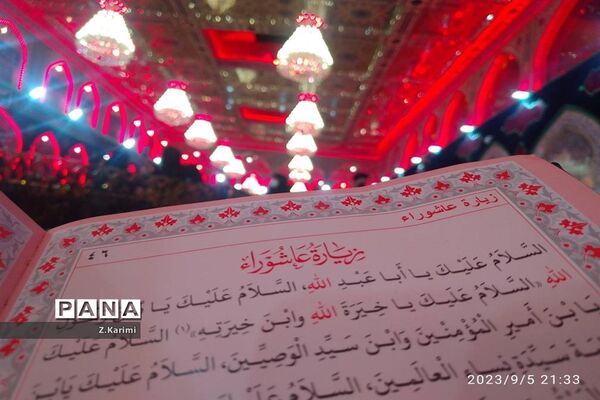 روایت اربعین، از نجف تا کربلا