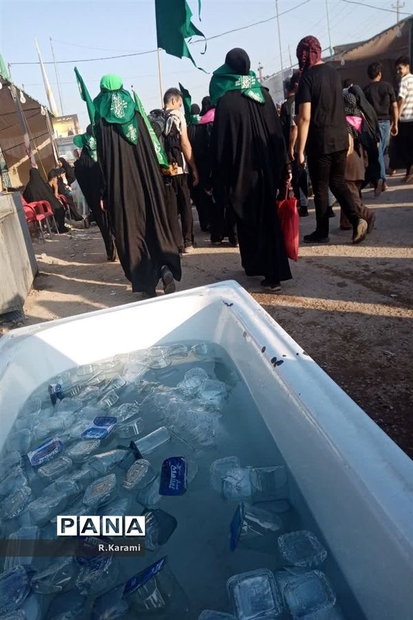 روایت اربعین، از نجف تا کربلا