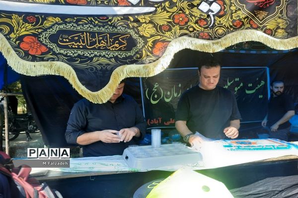 پیاده‌روی جاماندگان اربعین حسینی