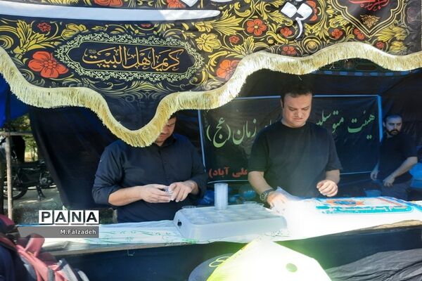 پیاده‌روی جاماندگان اربعین حسینی