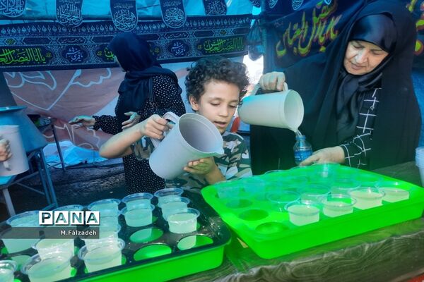 پیاده‌روی جاماندگان اربعین حسینی