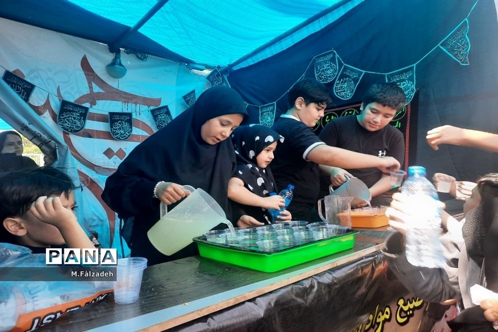 پیاده‌روی جاماندگان اربعین حسینی