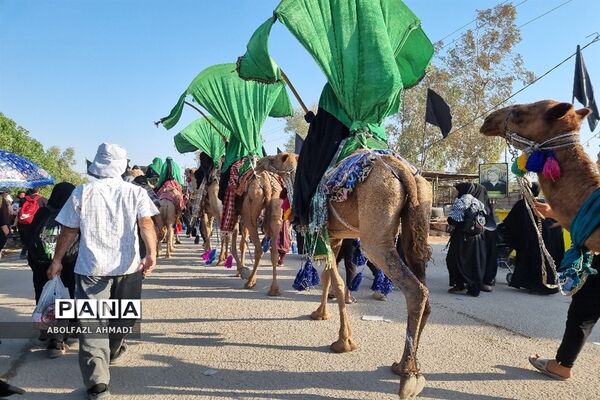 حال و هوای حرم ائمه معصومین در راهپیمایی اربعین