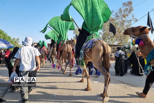 حال و هوای حرم ائمه معصومین در راهپیمایی اربعین