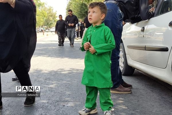 پیاده‌روی جاماندگان اربعین درشیراز