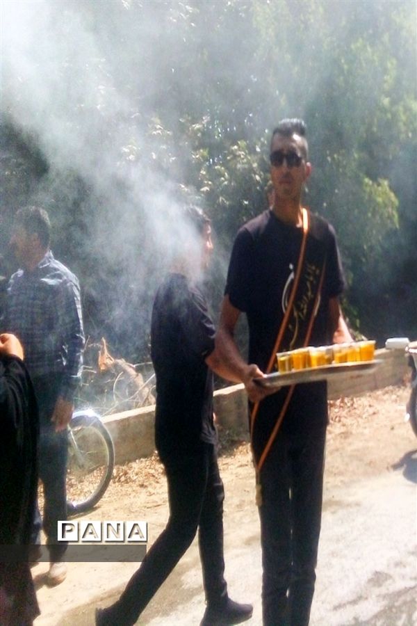 همایش پیاده‌روی جاماندگان حسینی از حرم تا حرم در شهرستان بن