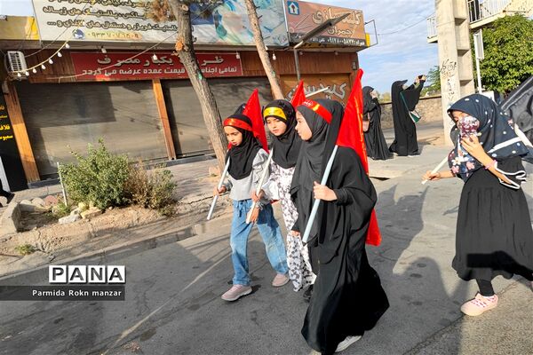 پیاده روی جاماندگان اربعین درشیراز