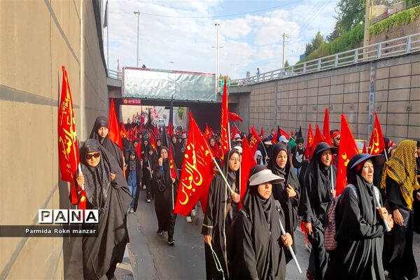 پیاده روی جاماندگان اربعین درشیراز