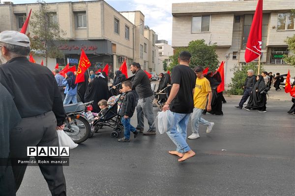 پیاده روی جاماندگان اربعین درشیراز