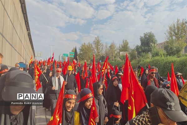 پیاده روی جاماندگان اربعین درشیراز