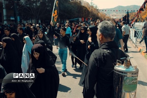 جاماندگان اربعین در پناه رضا(ع)