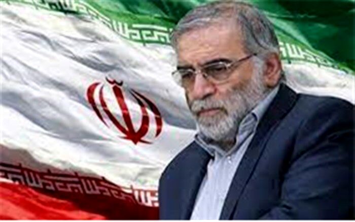 راهکار شهید فخری‌زاده برای زیارت حرم سیدالشهدا(ع) در «زائر غریب کربلا»