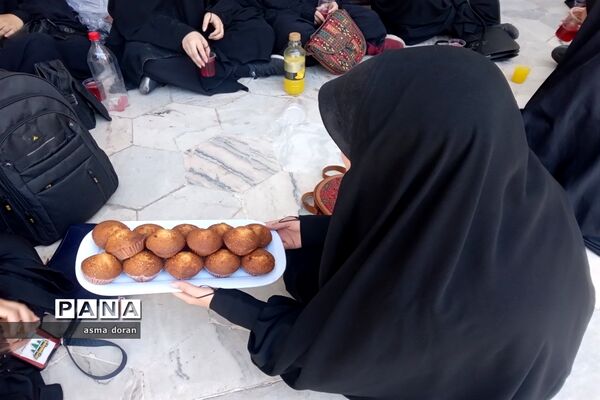 پیاده‌روی جاماندگان اربعین حسینی هیات دخترانه مهدخت