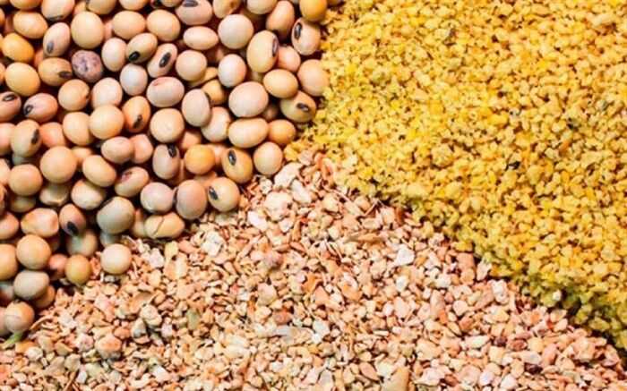 وزارت جهاد کشاورزی تامین کنجاله سویا را برون‌سپاری کرد