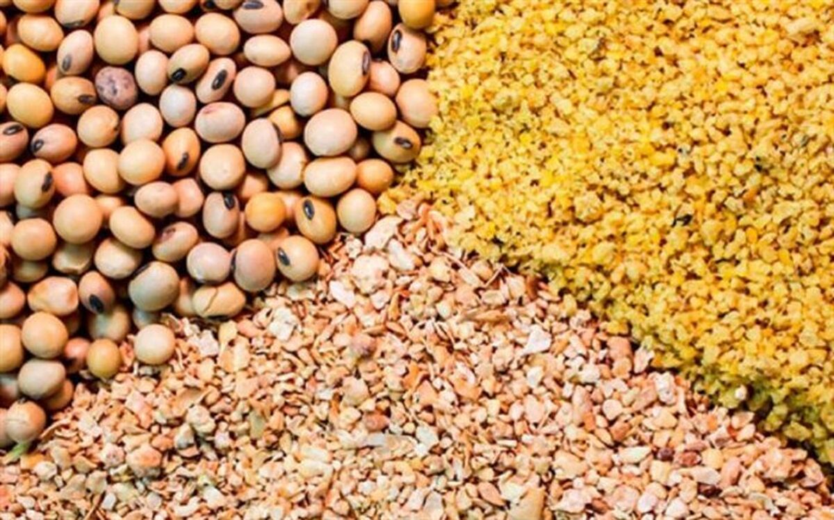 وزارت جهاد کشاورزی تامین کنجاله سویا را برون‌سپاری کرد