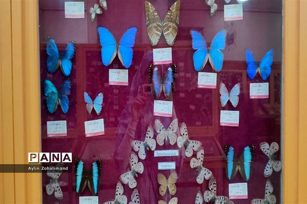 موزه تاریخ طبیعی در همدان