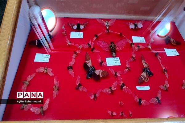 موزه تاریخ طبیعی در همدان