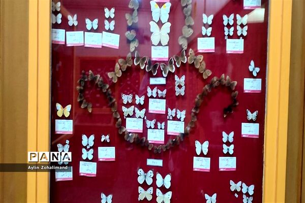 موزه تاریخ طبیعی در همدان