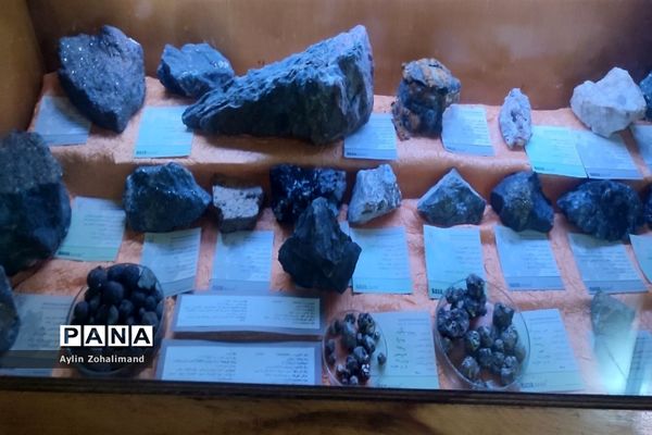 موزه تاریخ طبیعی در همدان