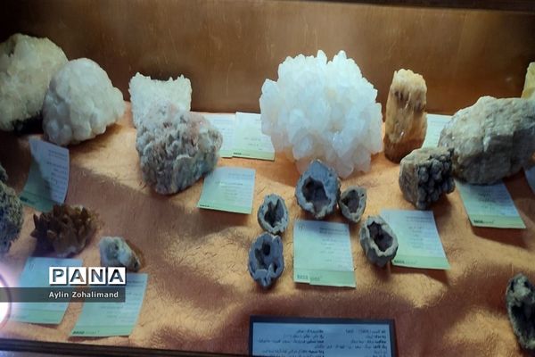 موزه تاریخ طبیعی در همدان