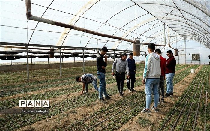 عزم جدی آموزش‌وپرورش برای تقویت هنرستان‌های کشاورزی‌