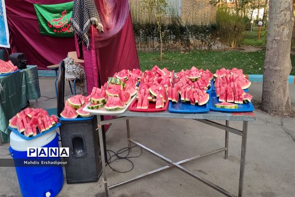 برگزاری اردوی یاوران ولایت شهرستان‌های استان تهران