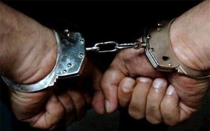 کشف ۱۰۴۵ سکه جعلی منتسب به دوره هخامنشی