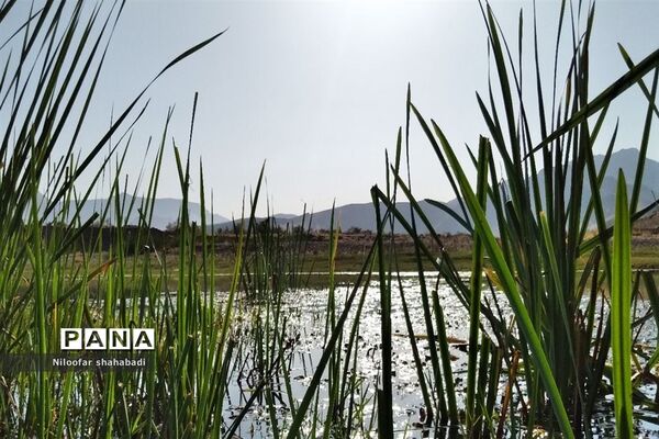 سد آبی خاکی روستای درکه در استان کرمانشاه