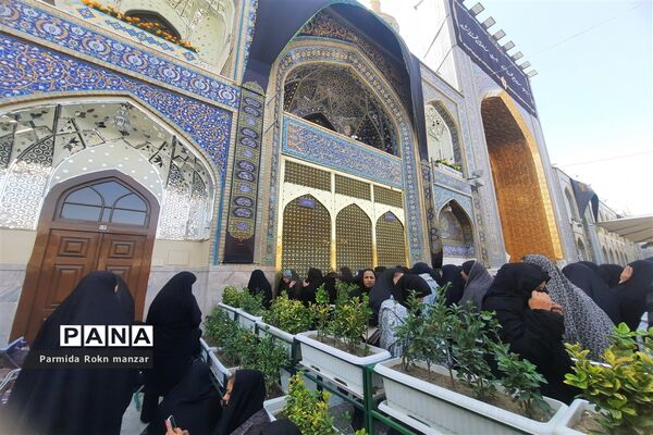 حال و هوای مشهد در روز شهادت امام رضا(ع)