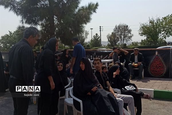 حضور پر شور دلدادگان امام رضا (ع) در مشهد مقدس