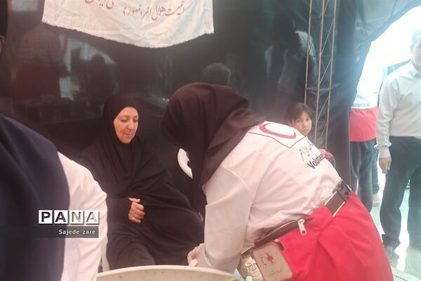 حضور پر شور دلدادگان امام رضا (ع) در مشهد مقدس