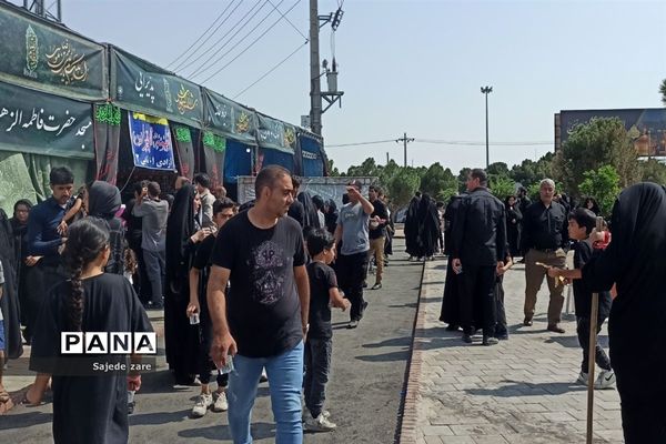 حضور پر شور دلدادگان امام رضا (ع) در مشهد مقدس