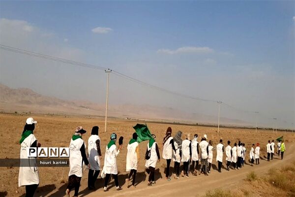 پیاده‌روی هیات عزاداران شهرستان مانه و سملقان دردهه آخر صفر به  حرم امام رضا( ع)
