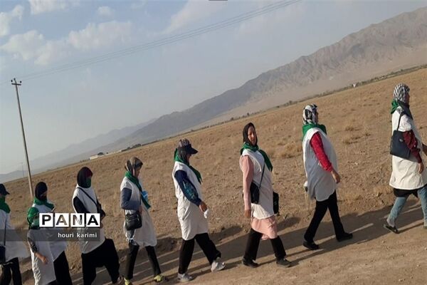 پیاده‌روی هیات عزاداران شهرستان مانه و سملقان دردهه آخر صفر به  حرم امام رضا( ع)