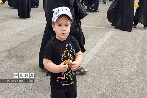 همایش پیاده‌روی حرم تا حرم  در شهرستان ساوه