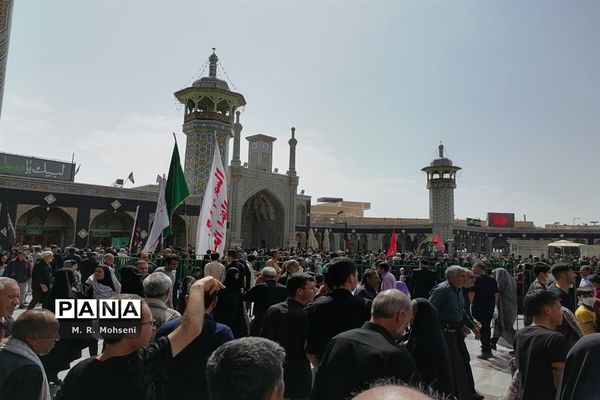 عزاداری ایام پایانی ماه صفر در حرم حضرت معصومه(س)