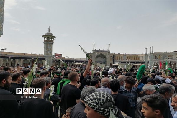 عزاداری ایام پایانی ماه صفر در حرم حضرت معصومه(س)