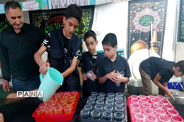 مشارکت پرشور و خودجوش دانش‌آموزان دبستان مولوی در طرح گام‌های عاشقی