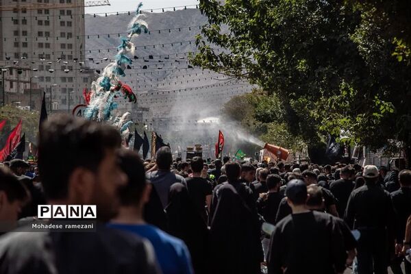 عزاداری زائران و مجاوران رضوی
