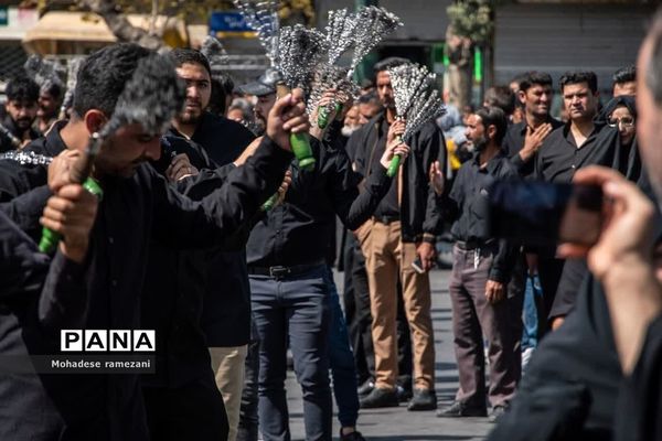 عزاداری زائران و مجاوران رضوی