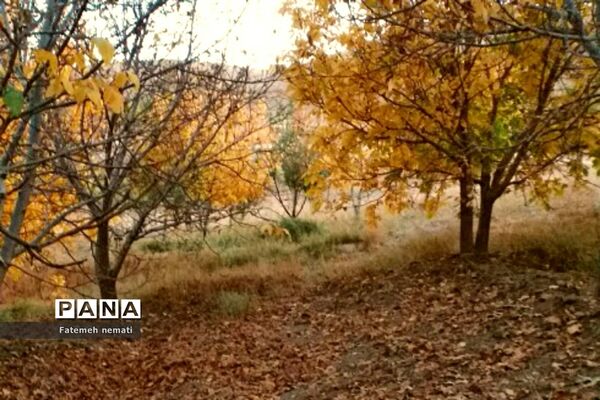 طبیعت زیبای استان مرکزی در آخرین روزهای تابستان